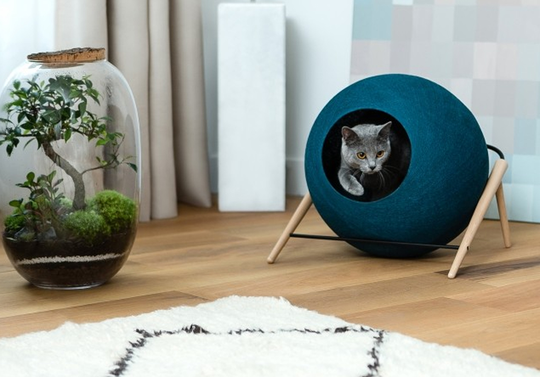 Où trouver des accessoires pour chiens et chats chics et design