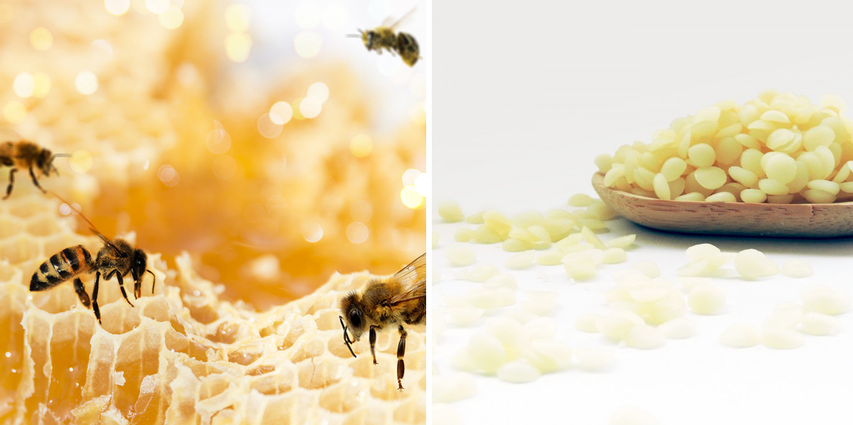 La cire d'abeille et ses vertus